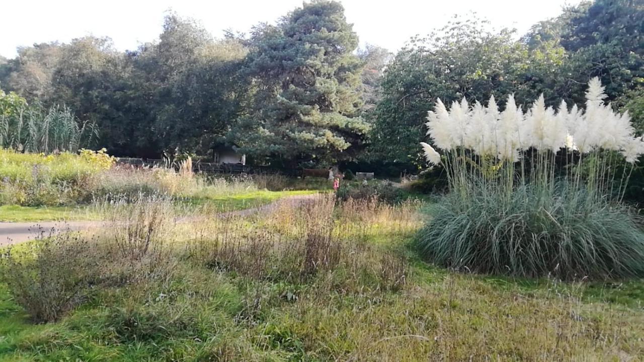 Many Worlds Meet - Eurostar, Wimbledon 30 Mins, Central London, Gatwick 15 Mins - Spacious, Sleeps Up To 16 Plus Cot - Free Wifi, Parking - Next To Lloyd Park, Great For Families, Walkers, Relocators - Ideal For Contractors Croydon Zewnętrze zdjęcie