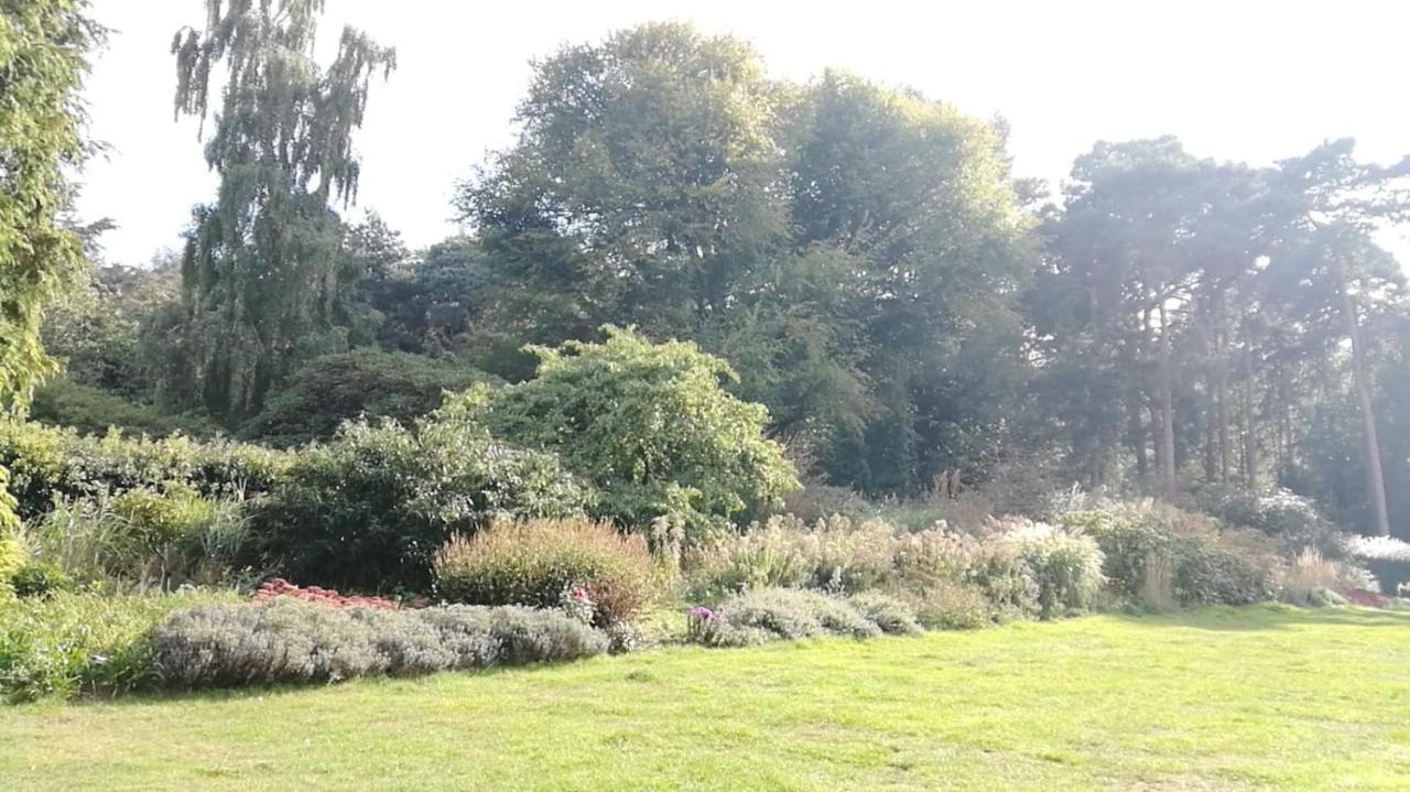 Many Worlds Meet - Eurostar, Wimbledon 30 Mins, Central London, Gatwick 15 Mins - Spacious, Sleeps Up To 16 Plus Cot - Free Wifi, Parking - Next To Lloyd Park, Great For Families, Walkers, Relocators - Ideal For Contractors Croydon Zewnętrze zdjęcie