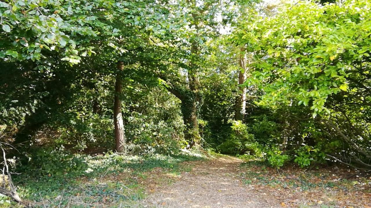 Many Worlds Meet - Eurostar, Wimbledon 30 Mins, Central London, Gatwick 15 Mins - Spacious, Sleeps Up To 16 Plus Cot - Free Wifi, Parking - Next To Lloyd Park, Great For Families, Walkers, Relocators - Ideal For Contractors Croydon Zewnętrze zdjęcie
